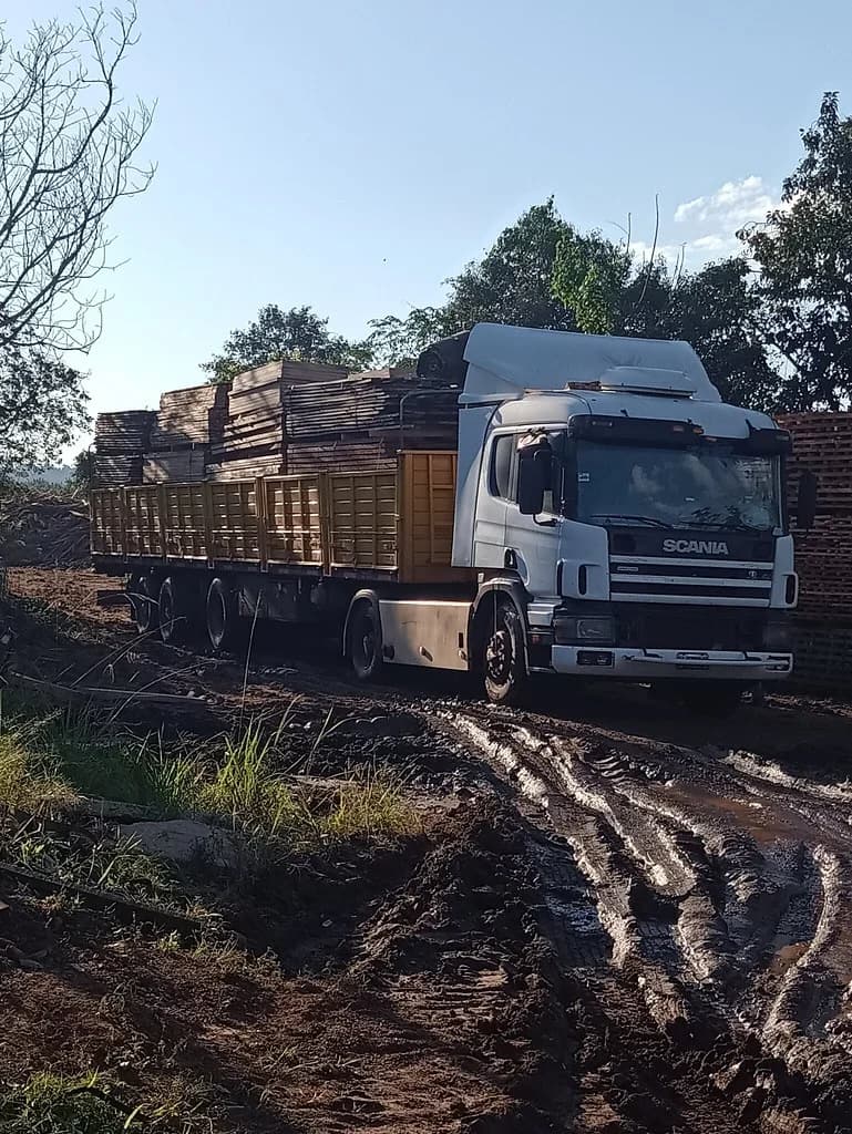 Camión cargado de tablones llegando al aserradero